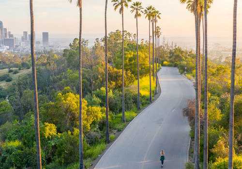 Exploring the Best Shopping Spots in Los Angeles, CA